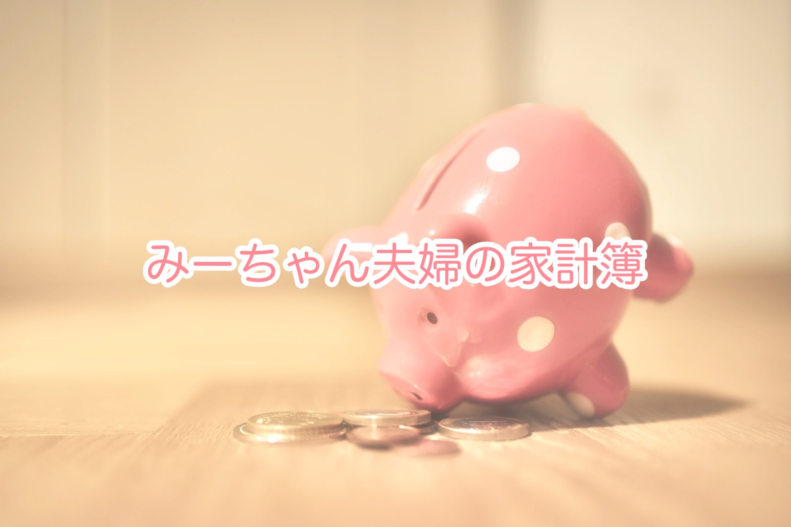 みーちゃん夫婦の家計簿